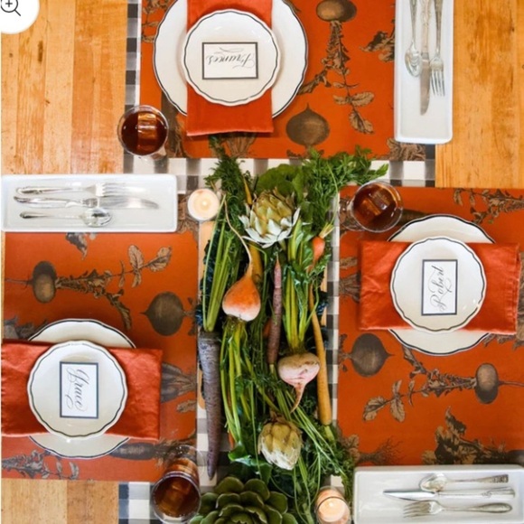 Hester & Cook Harvest Vegetable (Persimmon) Placemats 24 - Picture 4 of 5